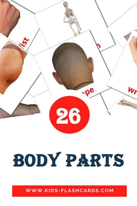 26 Free Body Parts Flashcards In 4 Pdf Formats English Pictures
