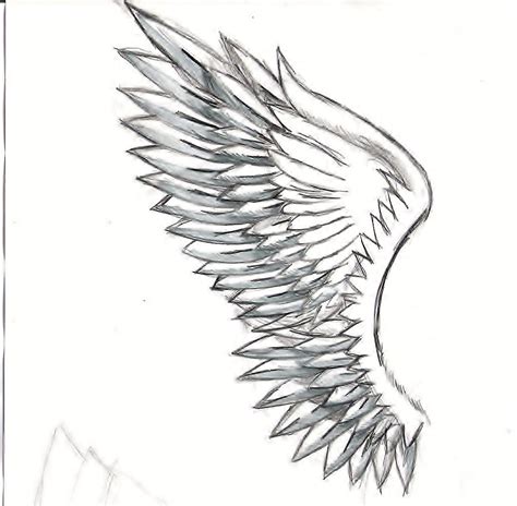 Wing Drawing By Snowblazeadmind On Newgrounds