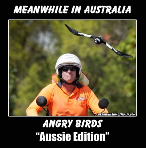 meanwhile down under in australia australia funny funny aussie aussie memes