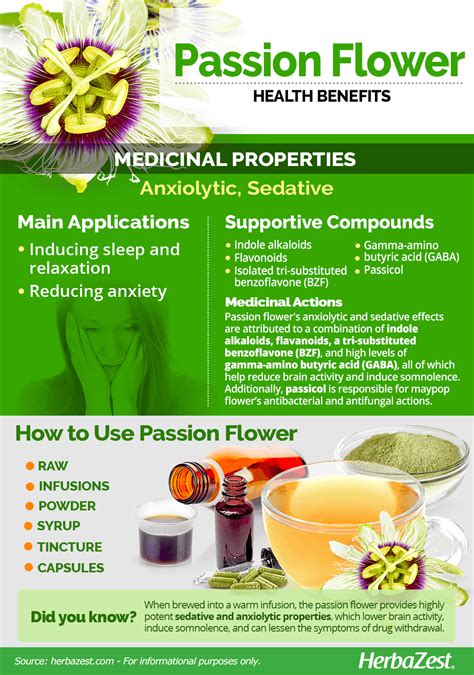 Passion Flower | HerbaZest in 2020 | Passion flower, Passion flower benefits, Herbalism