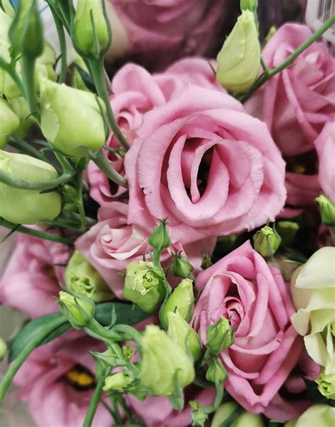 Lisanthus Double Pink Lisianthus Flowers And Fillers Flowers By