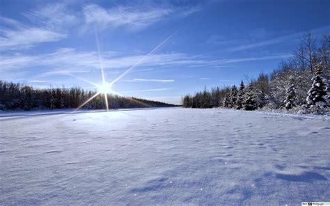 Sunny Winter Wallpapers Wallpaper Cave