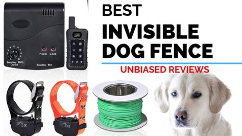 10 Best Invisible Dog Fence The Best Pet Wireless And Invisible Fence
