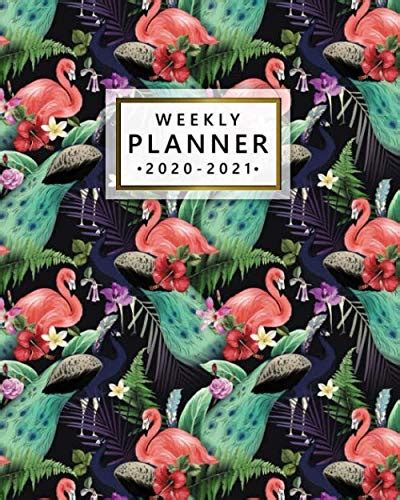 2020 2021 Weekly Planner Two Year Agenda Diary And Planner With Weekly Spread View 2 Year