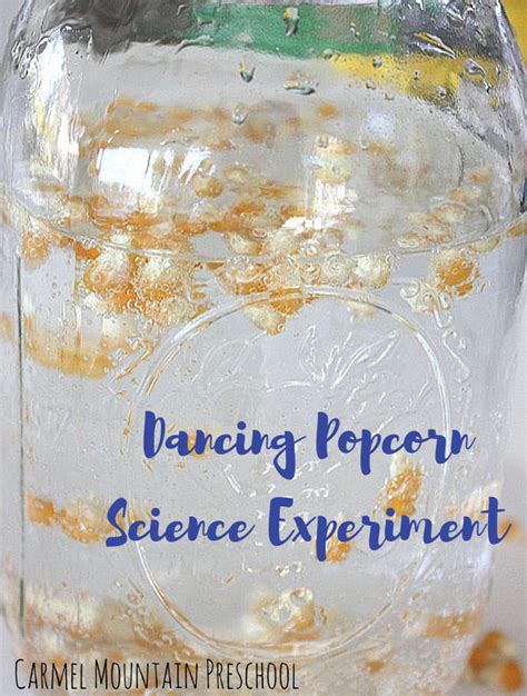 Dancing Popcorn Science Experiment Carmel Mountain Preschool