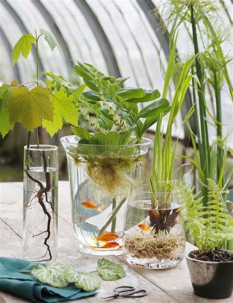 34 Fabulous Indoor Water Garden Ideas To Refresh Your Interior Decor