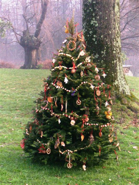 The decorations might remain the same but the way they are displayed is always different. Decorate an Outdoor Holiday Tree for Animals - Dot Com Women