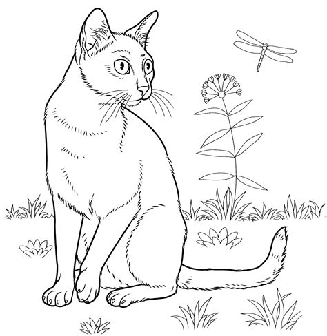 Realistic Cat Coloring Page