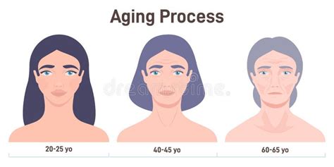 Aging Process Face Skin Changes Woman Getting Wrinkles With Age Stock