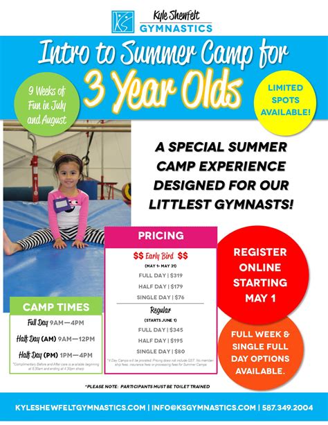 Summer Camp For 3 Year Olds Kyle Shewfelt Gymnastics
