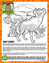 Print out animal pages/information sheets to color. Hyena Coloring Page - Animal Jam Academy