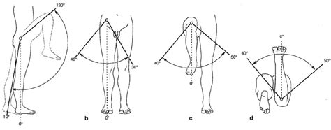 The Range Of Movements In The Hip Joint A Flexion Extension