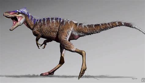 Los dinosaurios son un grupo extinto de reptiles, conocido tan sólo a través de restos fósiles. Empezó desde abajo: Hallan un tiranosaurio de 'bolsillo ...