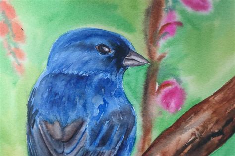 Original Watercolor Painting Indigo Bunting Bird Etsy
