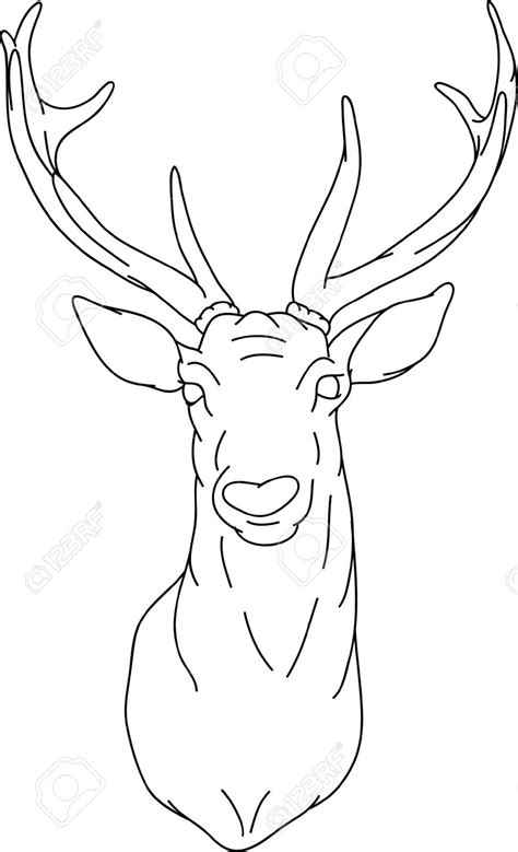 Deer Head Drawing Easy At Getdrawings Free Download
