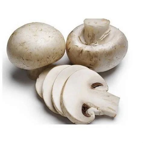 Button Mushrooms Wholesale Price And Mandi Rate For Button Koons In India