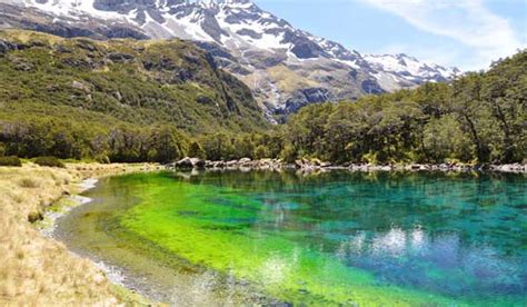Blue Lake New Zealand Clearest Water In The World Travel
