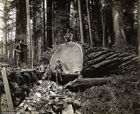 26 Photographs Of The Lumberjacks Who Conquered The
