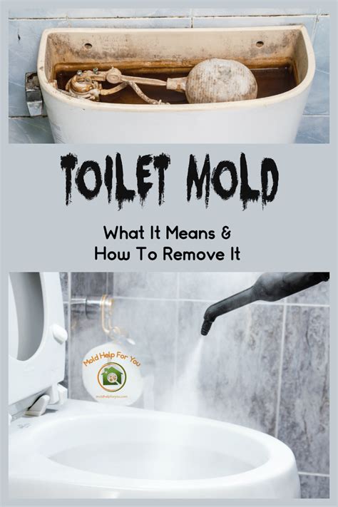 How To Get Rid Of Toilet Tank Mold Howtormeov