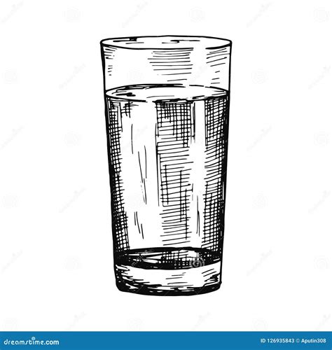 Water In A Glass Cup Sketch Isolated Stock Vector Illustration Of