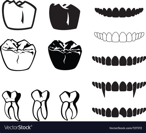 teeth royalty free vector image vectorstock