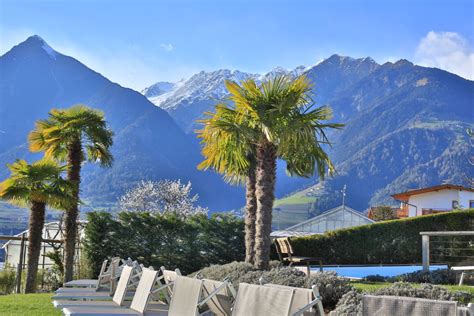 Obstbaumblüte Palmen Swimmingpool Und Ski Fahren Hotel Der Weinmesser Scena Schenna