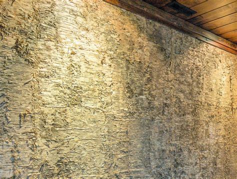 Gold Birch Bark Wall Panels Bark House®