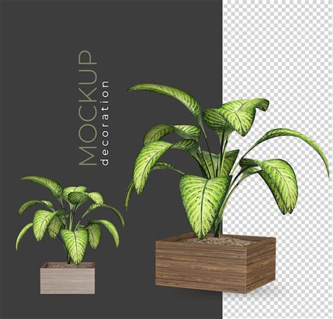 Premium Psd Plant In Pot In Rendering Decorations Isolated