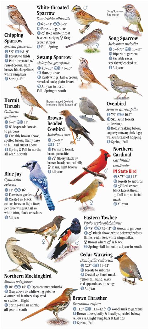 Birds Of Indiana Quick Reference Publishing