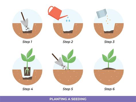 How to Up Pot Seedlings - Back Gardener
