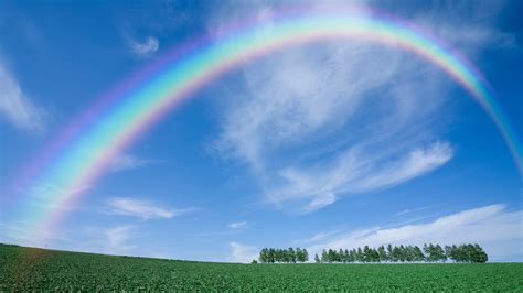 Landscape View Of Rainbow Above Trees Hd Rainbow Wallpapers Hd