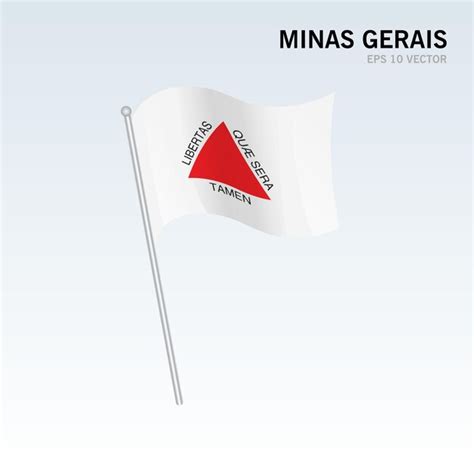 Bandeira Dos Estados De Minas Gerais Distrito Federal Do Brasil Isolado Em Fundo Cinza Vetor