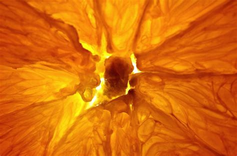 Anatomy Of An Orange Part 2 Flickr Photo Sharing