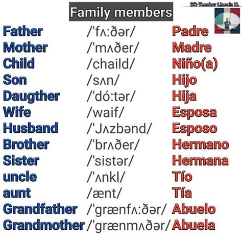ᐈ Integrantes De La Familia En Inglés 磊 【 Mejor Lista Completa