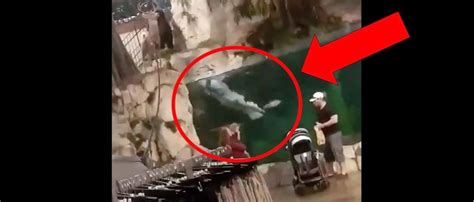 Man Jumps Into Aquarium At A Bass Pro Shop In Viral Video The Daily