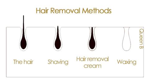 Shaving Versus Waxing What Is The Difference Benefits Results And More