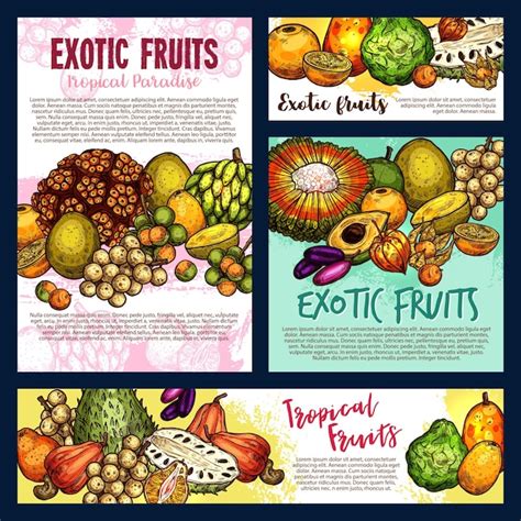 Premium Vector Exotic Tropical Fruitsand Berries Vector Sketch