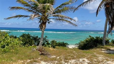 HG Christie Ltd, is the Oldest and largest real estate company in The