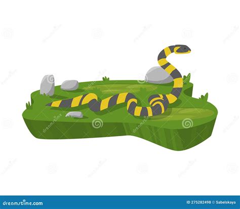 Coral Snake With Bright Stripes Flat Vector Illustration Isolated On
