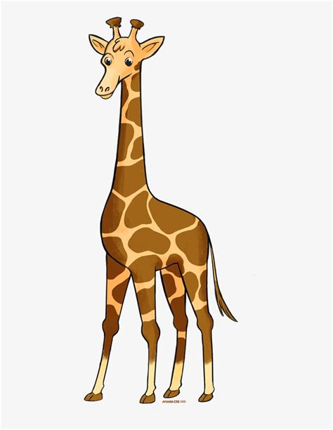 Zoo Animals Giraffe Transparent Png 500x1000 Free Download On Nicepng