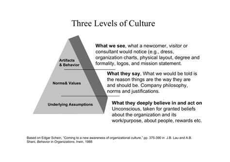 Three Levels Of Culture