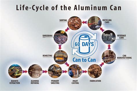 Focus Week 1 Metals Life Cycle Of Aluminum Cans