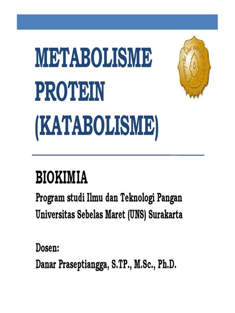 Materi Biokimia Metabolisme Protein Katabolisme Pdf