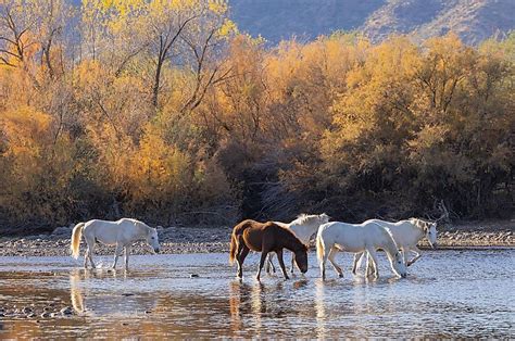 12 Most Beautiful Rivers In America Worldatlas