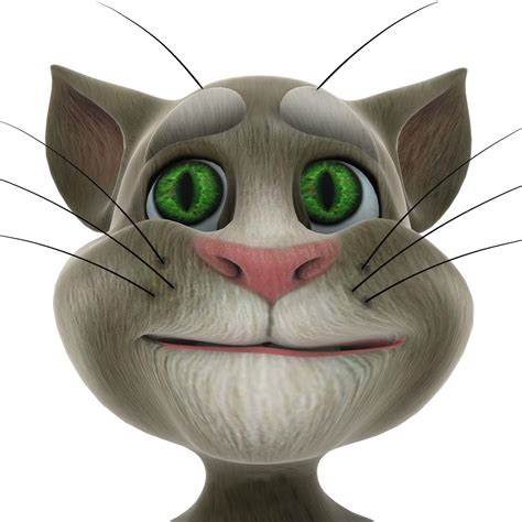 Talking Tom Cat For Ipad On The App Store