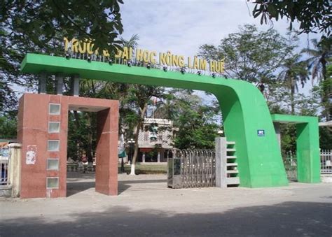 Y học tập dự phòng, điều chăm sóc, kỹ. Điểm chuẩn học bạ đợt 1 Đại học Nông Lâm - ĐH Huế năm 2021