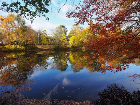 The 8 Best Leaf Peeping Places To See Fall Foliage In Rhode Island