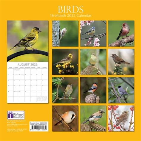 2022 Wall Calendar Small Little Birds Animals 12x12 16 Months With 180