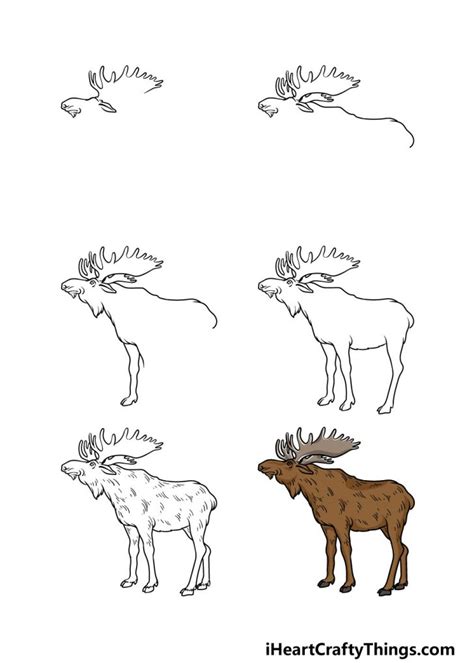 Moose Drawing How To Draw A Moose Step By Step