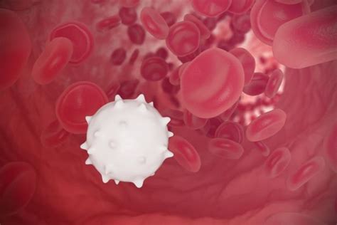 High White Blood Cell During Pregnancy Is Dangerous Vinmec